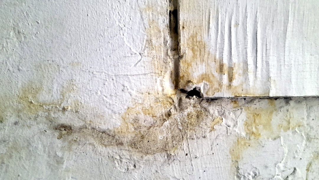 Drywall damage repair